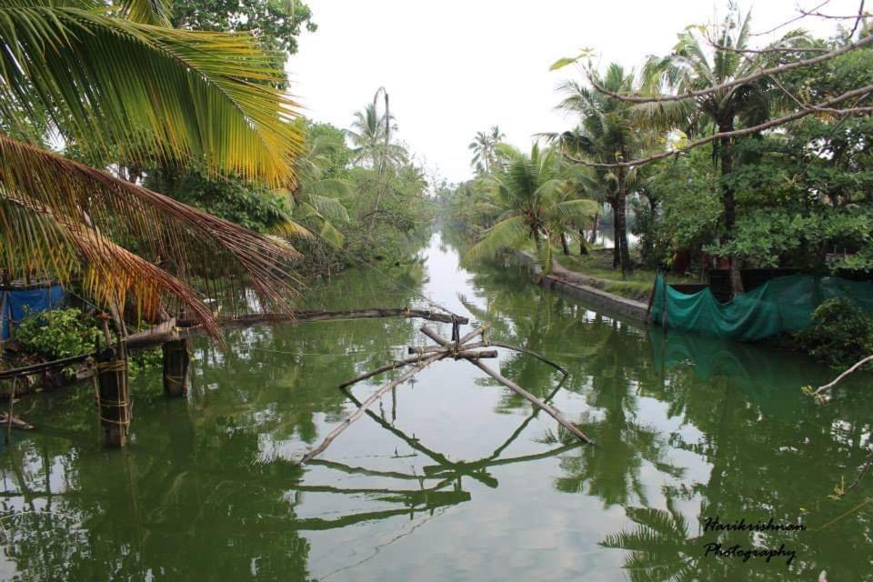 Marari stella vich villa Homestay Turavur Luaran gambar