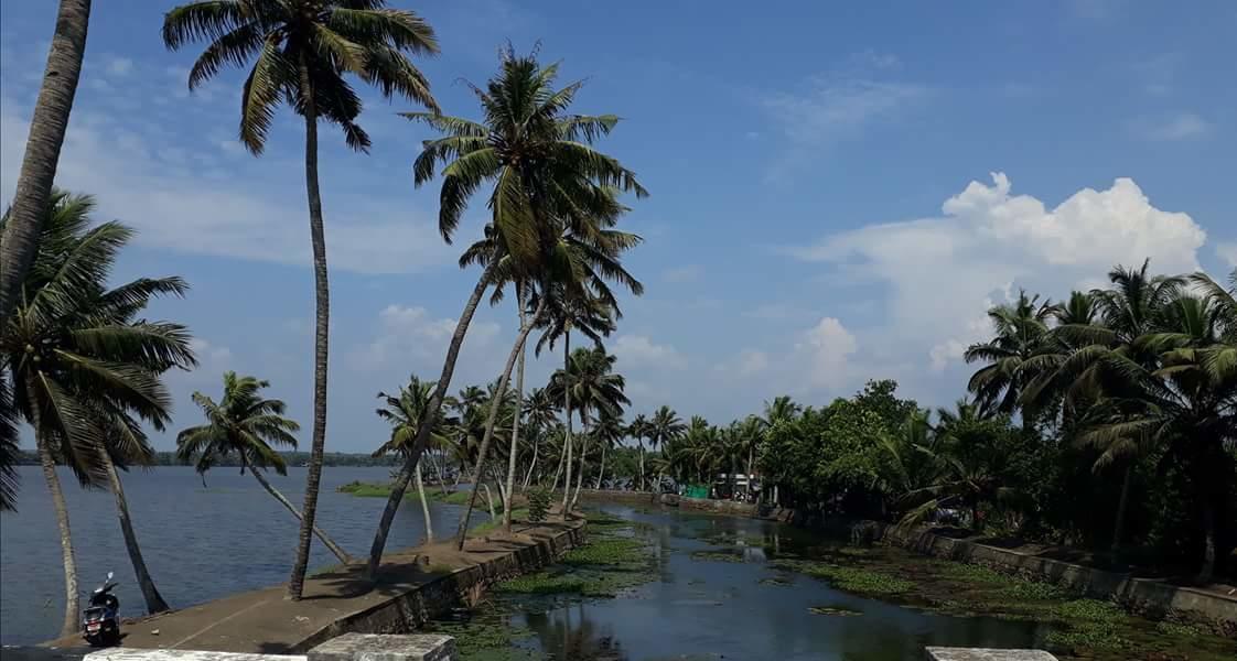 Marari stella vich villa Homestay Turavur Luaran gambar
